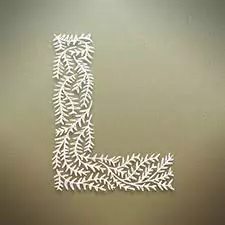 l name dp love